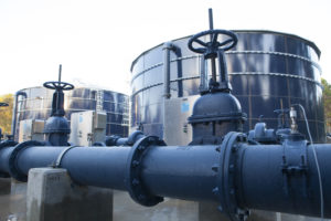 water plant